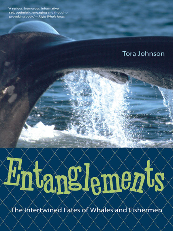 Entanglements, the book.